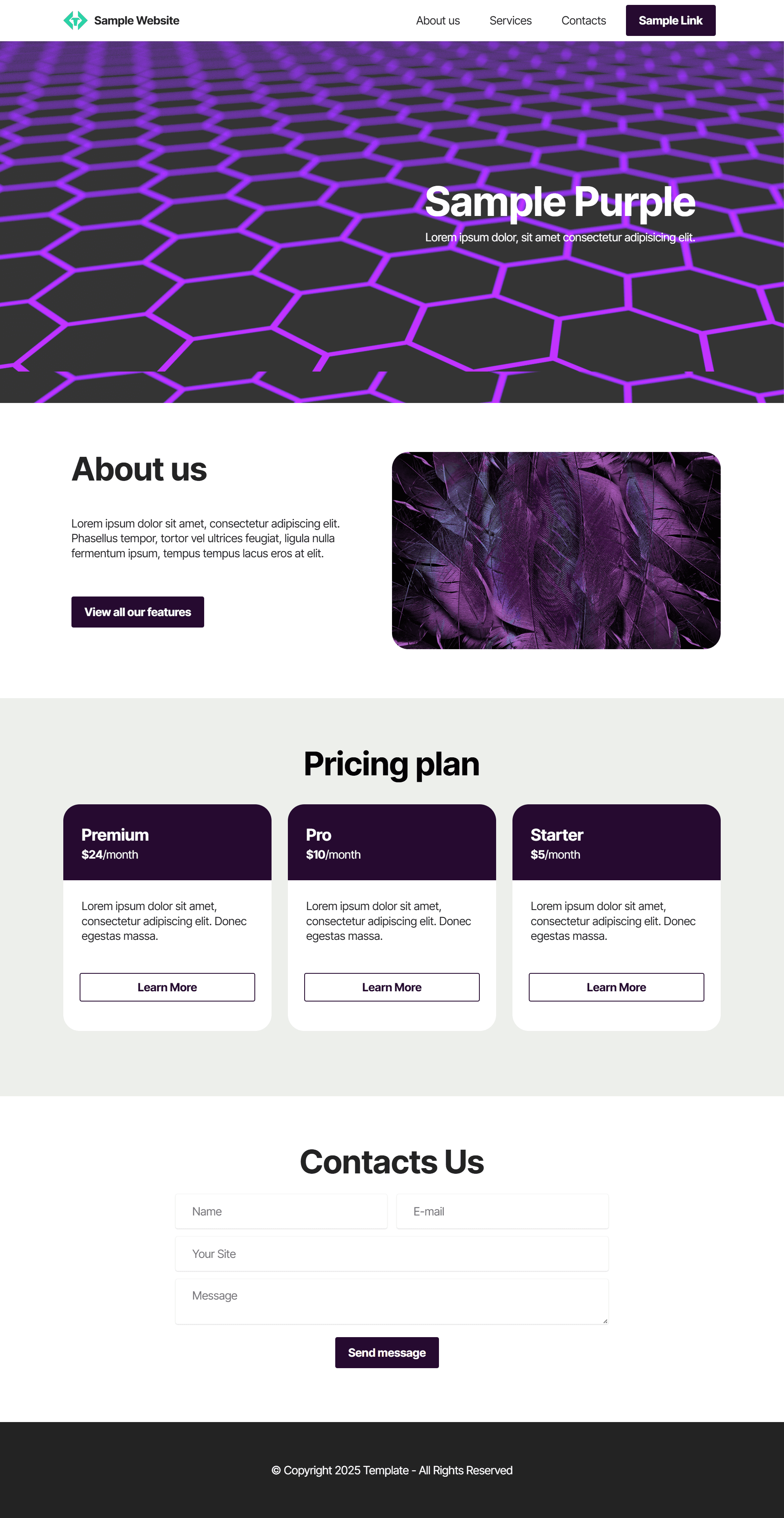 web-template-6